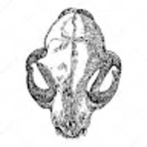 Meet your Posher, Kaleb